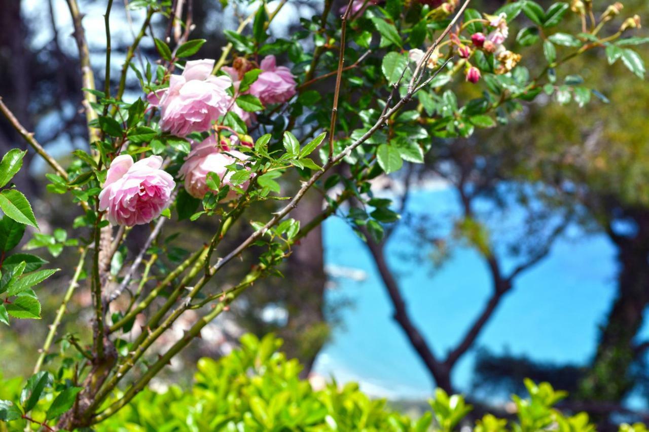 Torre Alpicella Holiday Home, A Scenic Escape Into Nature And Relaxation Diano Marina Kültér fotó